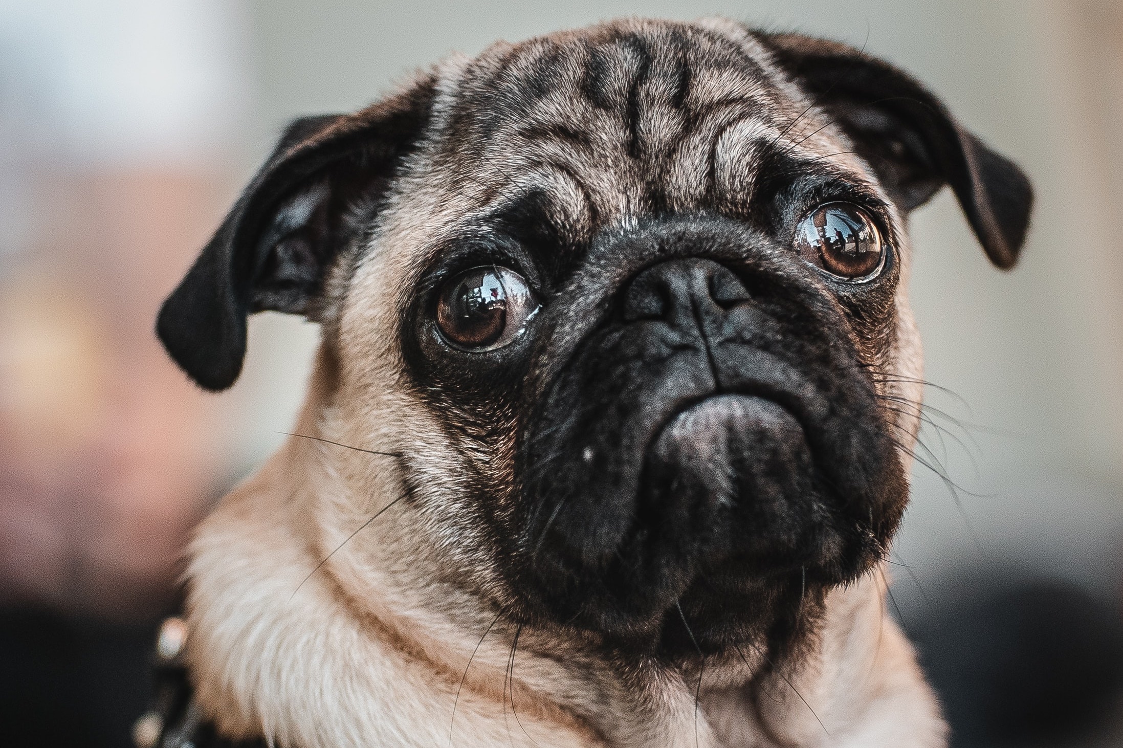 Nvidia attempts to alleviate Arm merger concerns in CMA response